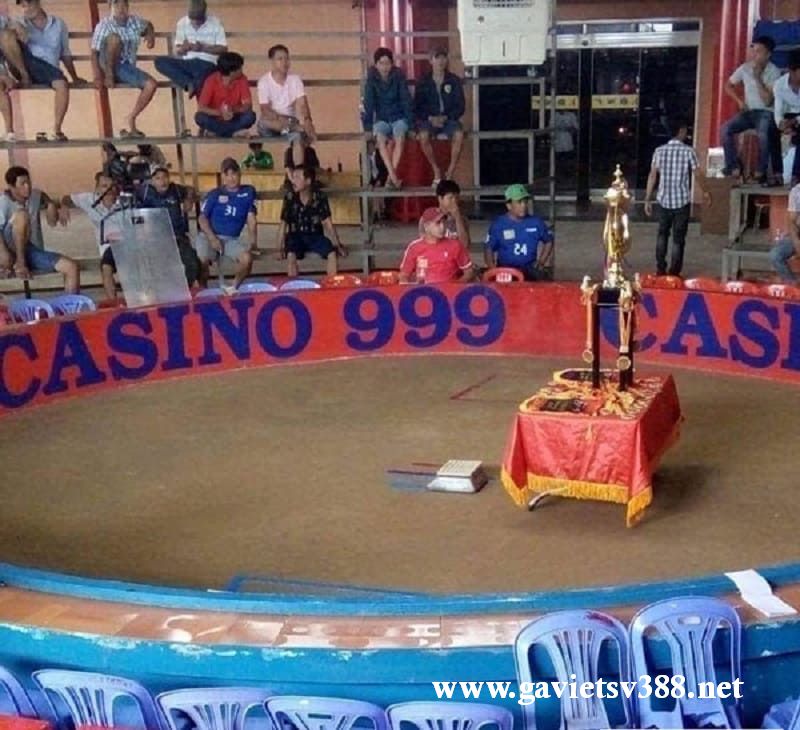 Cách đi từ Việt Nam đến Casino999 chơi cá cược an toàn